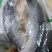 鱼肚20斤一件
