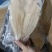 鱼肚20斤一件