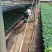 【推荐】山东聊城黄瓜苗嫁接苗产量高基地一手货源