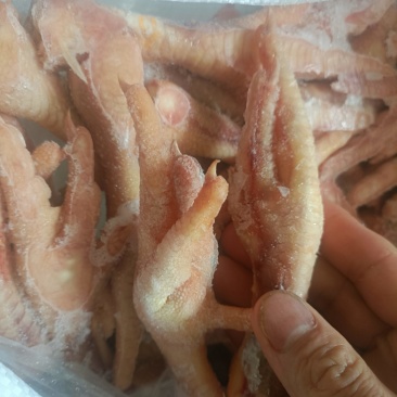 大肉鸡脚一斤8-10个