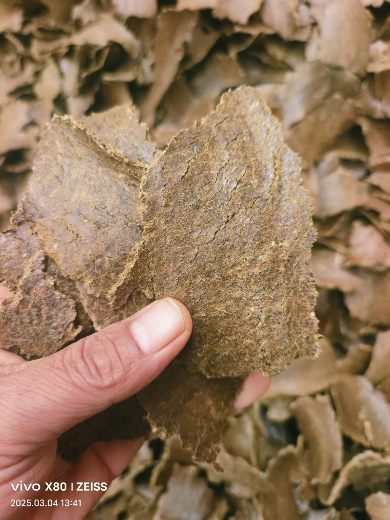 【棉籽饼】山东菏泽压榨棉籽饼色泽棕黄产地直销量大从优