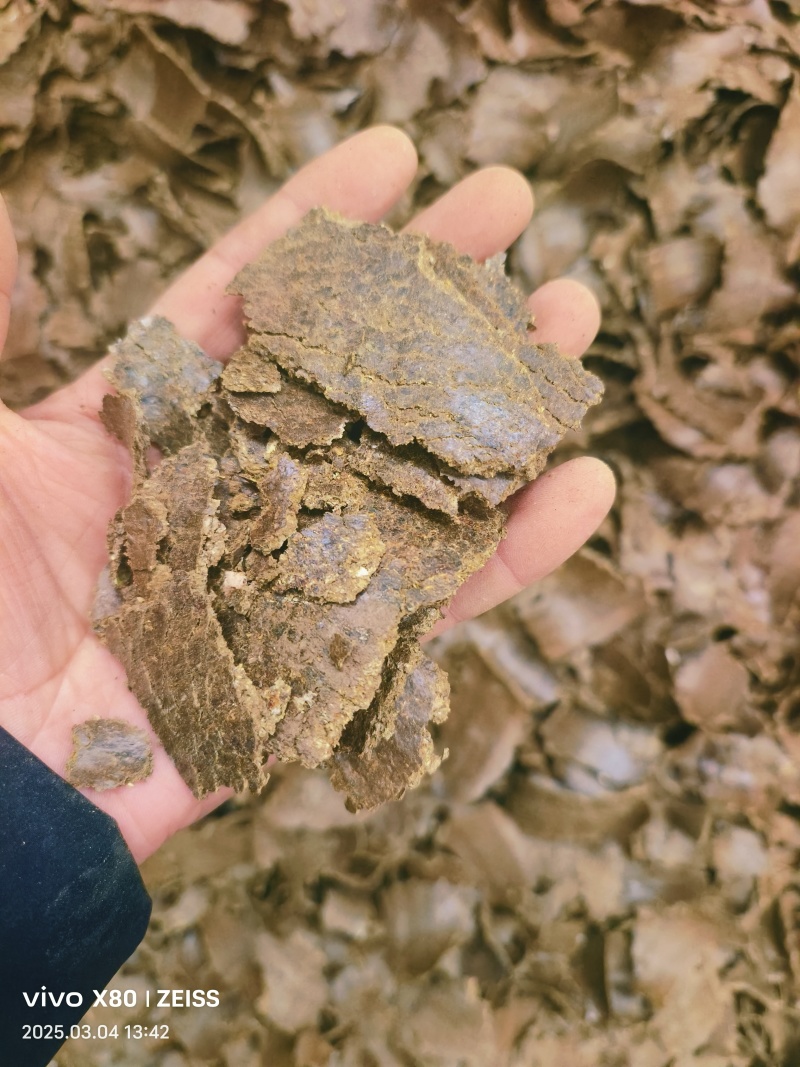 【棉籽饼】山东菏泽压榨棉籽饼色泽棕黄产地直销量大从优