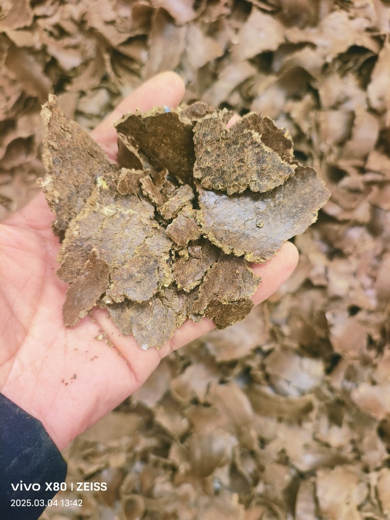 【棉籽饼】山东菏泽压榨棉籽饼色泽棕黄产地直销量大从优