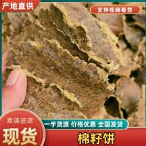 【棉籽饼】山东菏泽压榨棉籽饼色泽棕黄产地直销量大从优