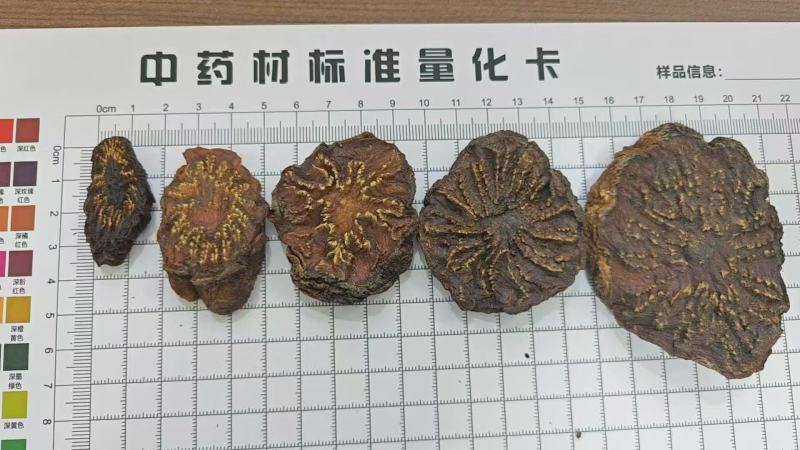 精选荒漠肉苁蓉，原厂直发，长期供货，全国包邮。价格实惠