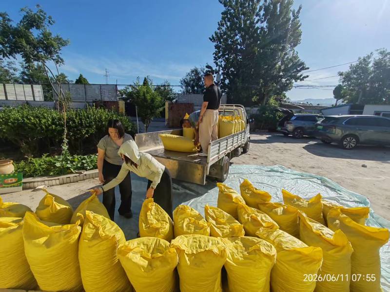 杏干