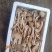 鸡枞菌湖南永州野生