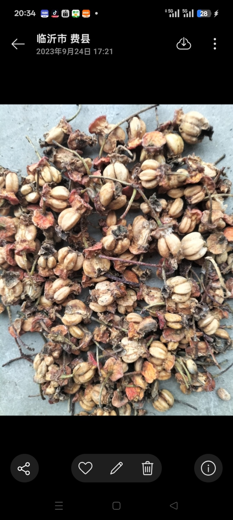 山楂种子，山楂核，带果肉，饲料厂打粉，烧火都可以，哂干货
