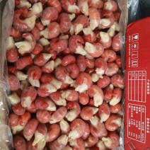 大特龙虾尾，125元一件，大量现货，不掺次品