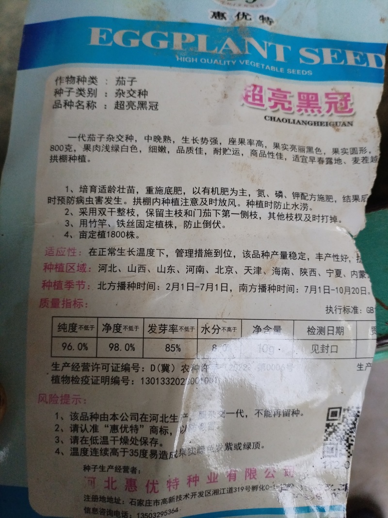 圆茄苗黑亮圆茄苗有黑冠高产抗病优质品种黑宝圆茄苗当天发货