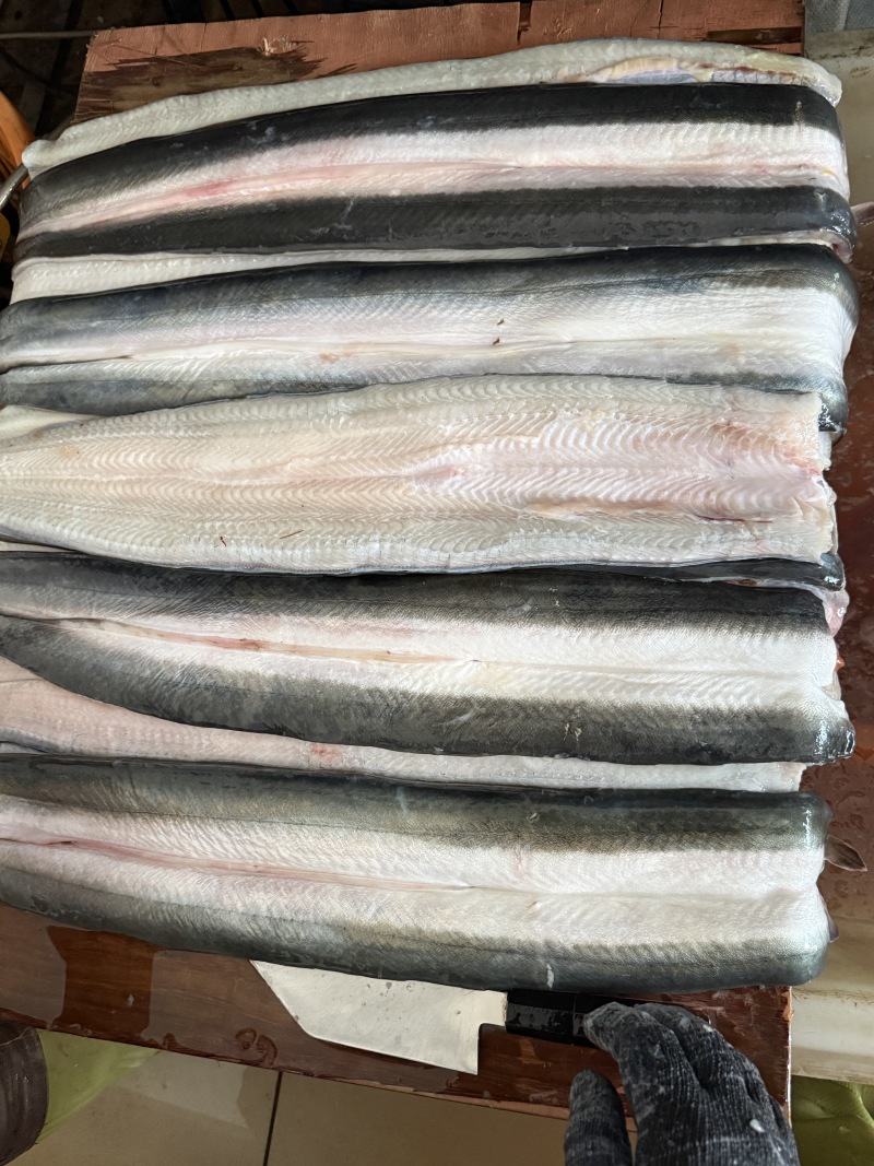 冰鲜去骨鳗鱼，脆肉鳗鱼，长期有货，产地直发
