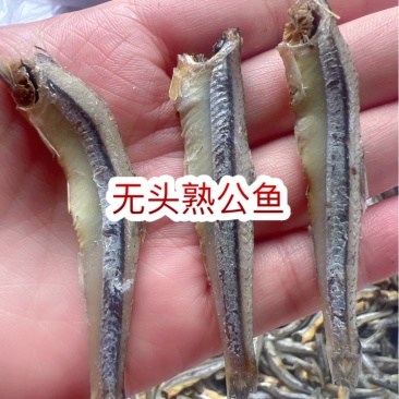 无头熟公鱼地摊电商批发去头白海燕鱼干白公鱼小鱼仔金线鱼干