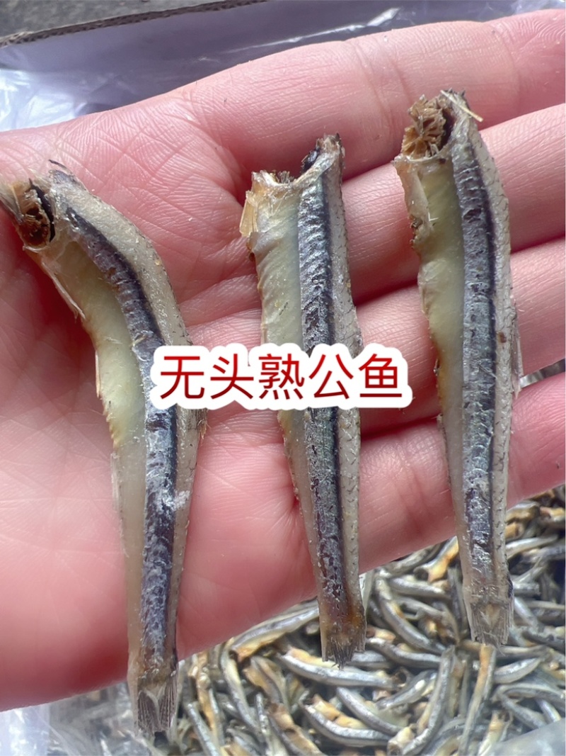 无头熟公鱼地摊电商批发去头白海燕鱼干白公鱼小鱼仔金线鱼干