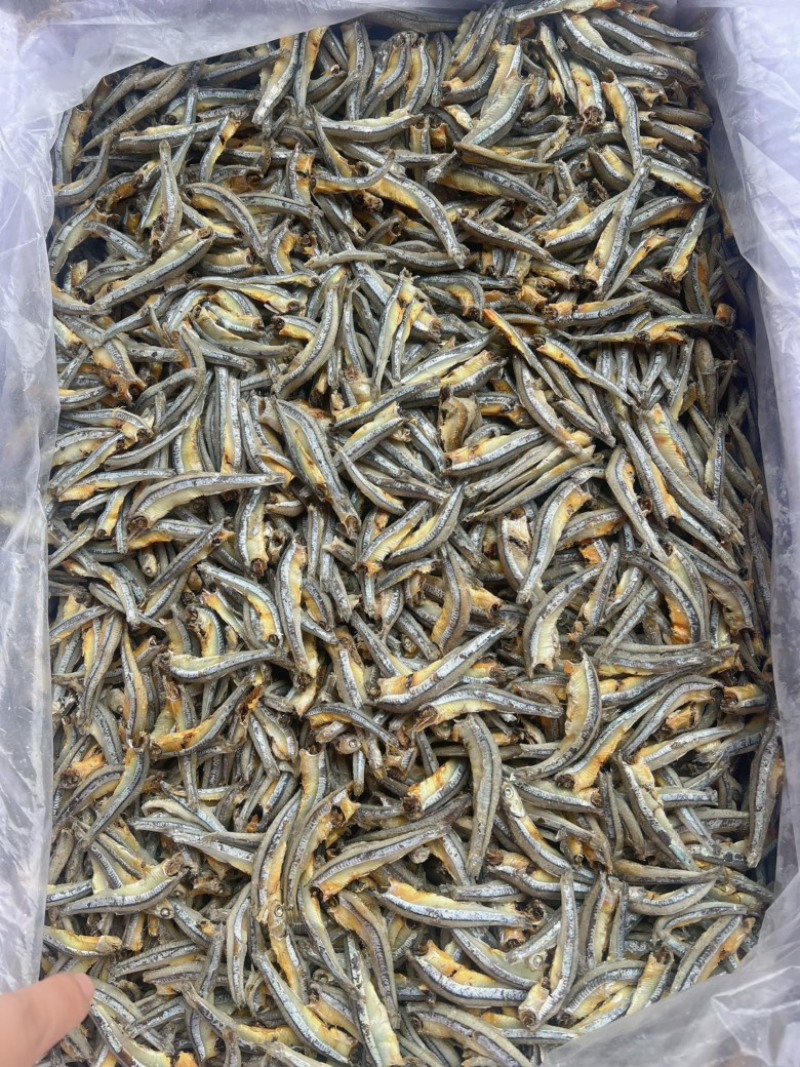 无头熟公鱼地摊电商批发去头白海燕鱼干白公鱼小鱼仔金线鱼干