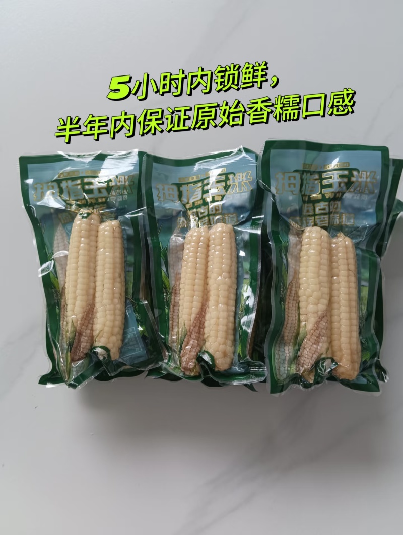 电话聊/西双版纳拇指玉米种植最大货源厂家热卖
