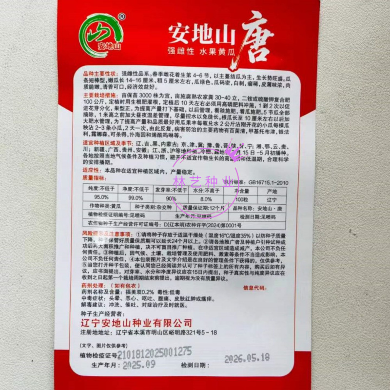 安地山唐黄瓜种子强雌性短棒型白刺瘤稀薄皮水果黄瓜种籽春秋