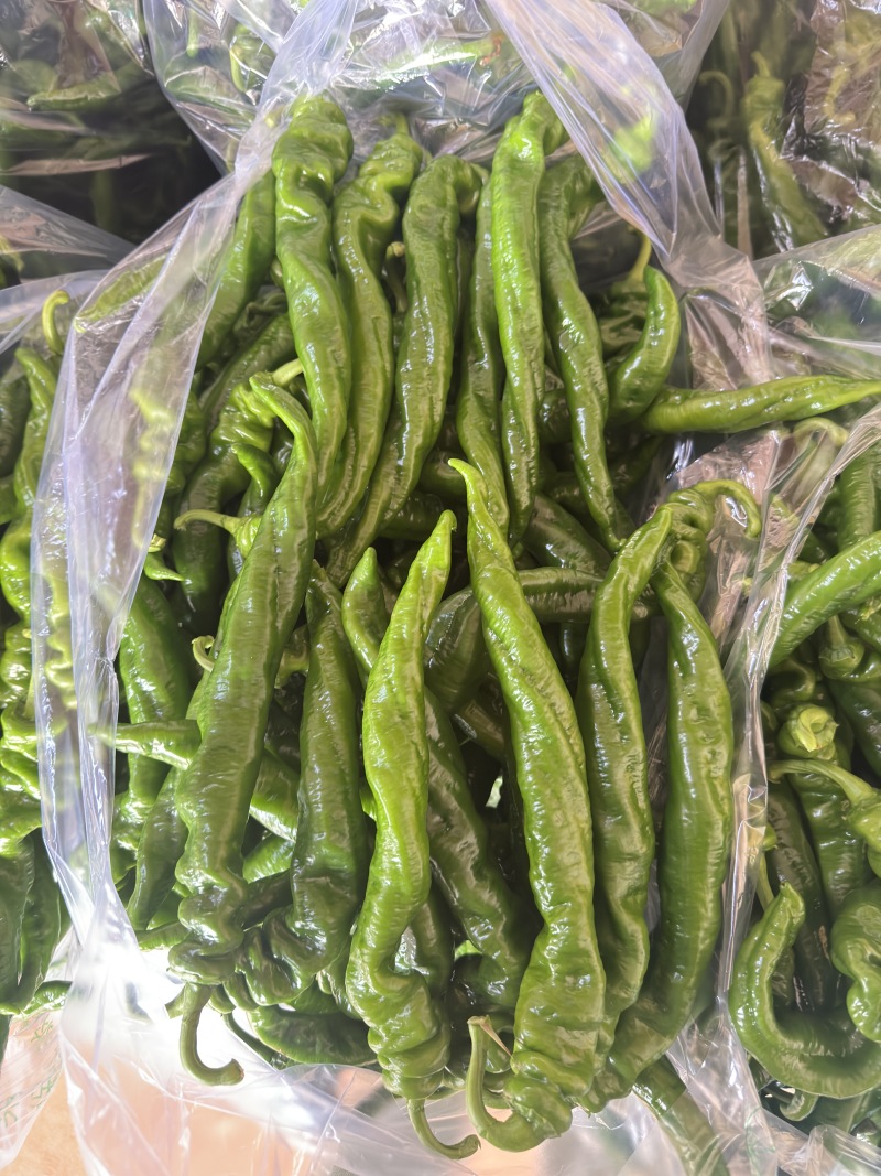 广东螺丝椒，产地直发大量供应，欢迎市场，商超，洽谈合作