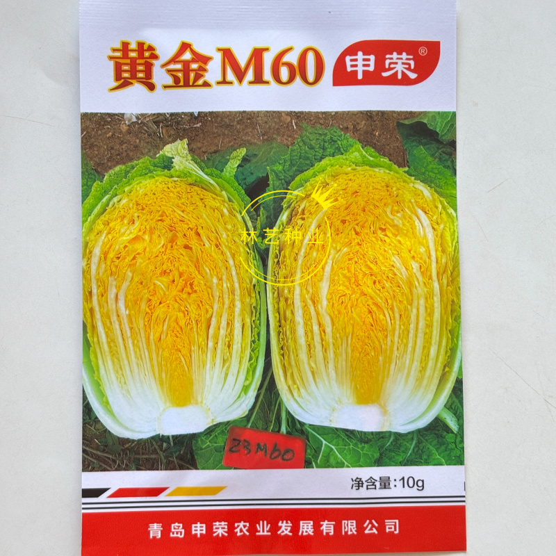 申荣黄金M60黄心大白菜种子中熟结球包心白菜杂交种农家秋