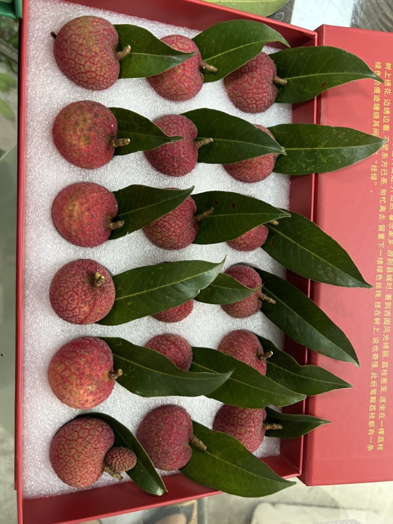 正宗增城挂绿