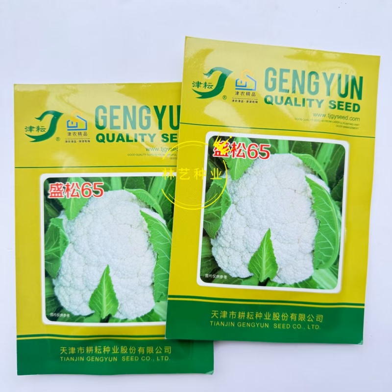 盛松65花菜种子杂交早熟松散型白花菜种子花球高圆雪白秋季