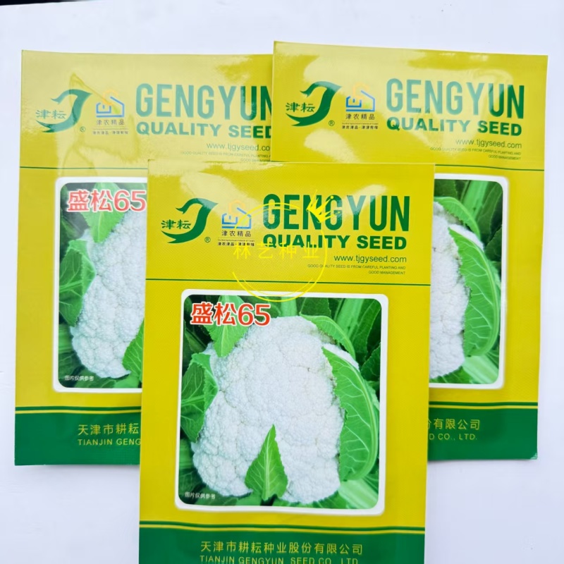 盛松65花菜种子杂交早熟松散型白花菜种子花球高圆雪白秋季