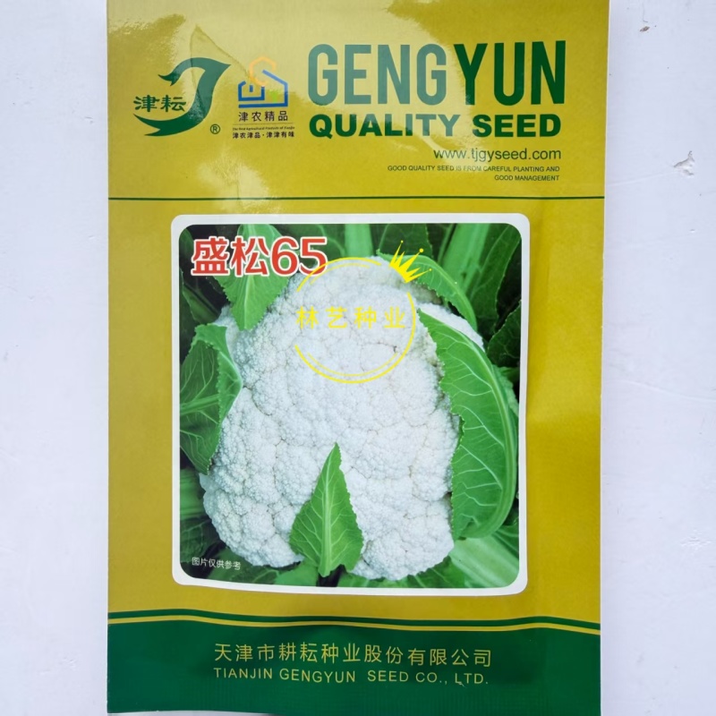 盛松65花菜种子杂交早熟松散型白花菜种子花球高圆雪白秋季