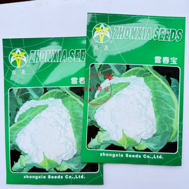 雪春宝杂交高产紧花菜种子花数较厚洁白紧实品质优青梗花菜籽