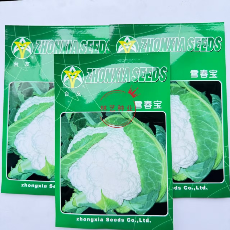 雪春宝杂交高产紧花菜种子花数较厚洁白紧实品质优青梗花菜籽