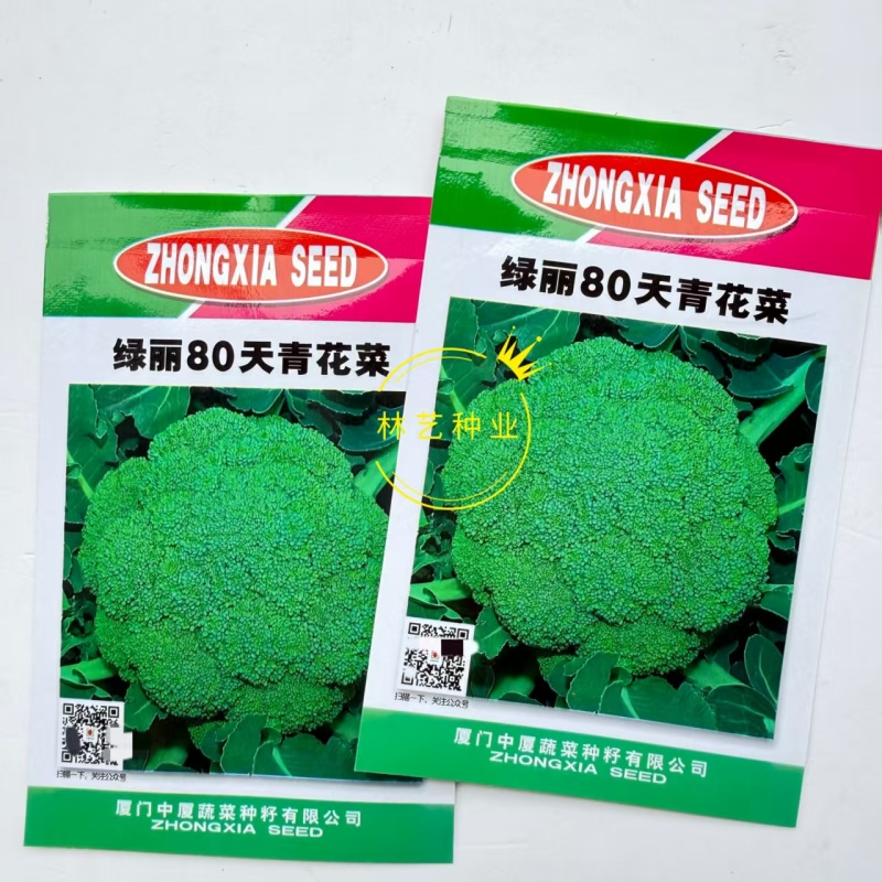 绿丽80天青花菜西兰花种子高产耐寒抗逆商品性佳农家秋季