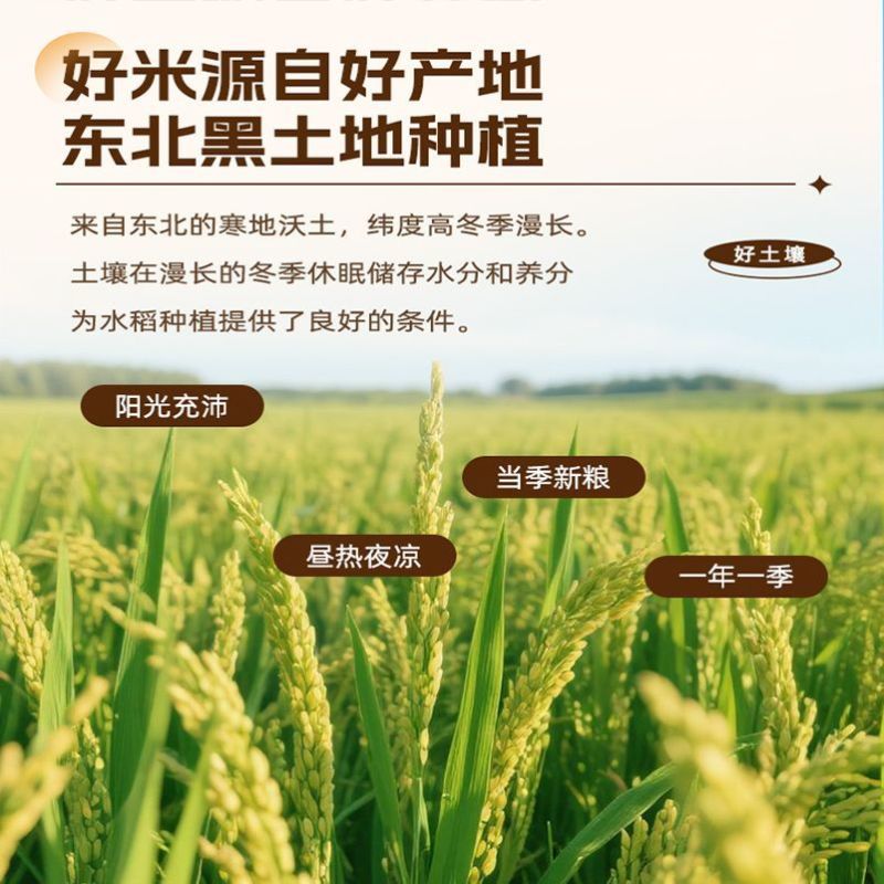 【饭小呱】东北大米10斤圆粒珍珠米新米黑土地米生态优质软