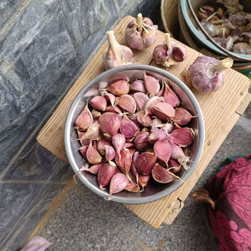 云南弥渡红蒜种的蒜可种可吃红香蒜出蒜苔可一件代发产地直发