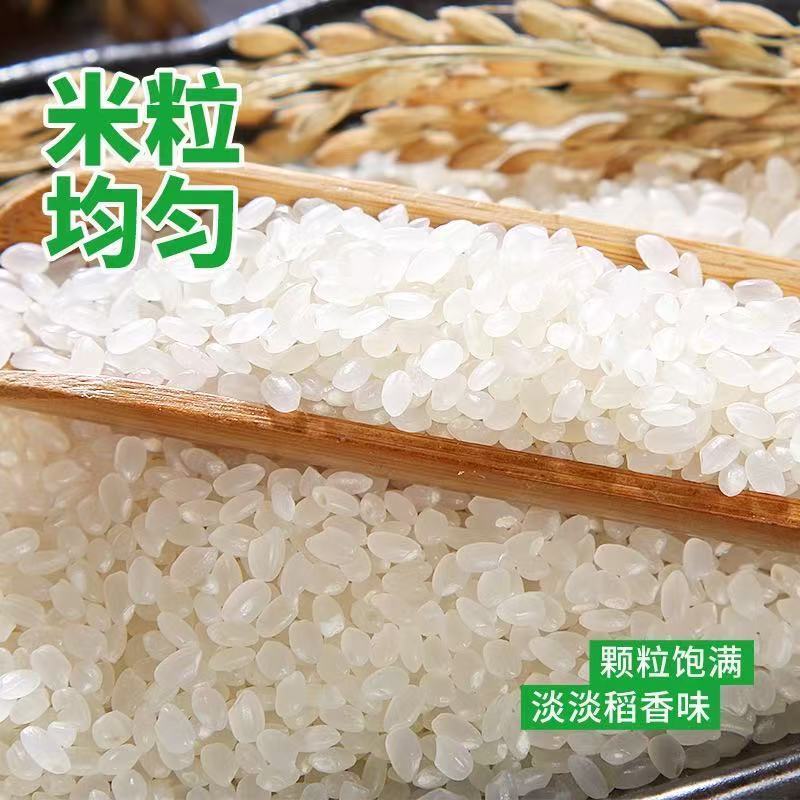 饭小呱正宗黑龙江大米10斤稻香米新米现磨生态大米珍珠米东