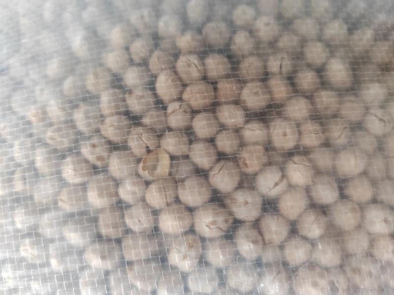 鹰嘴豆炒熟的，电商专用，大中小颗粒都有货一手货源大量批
