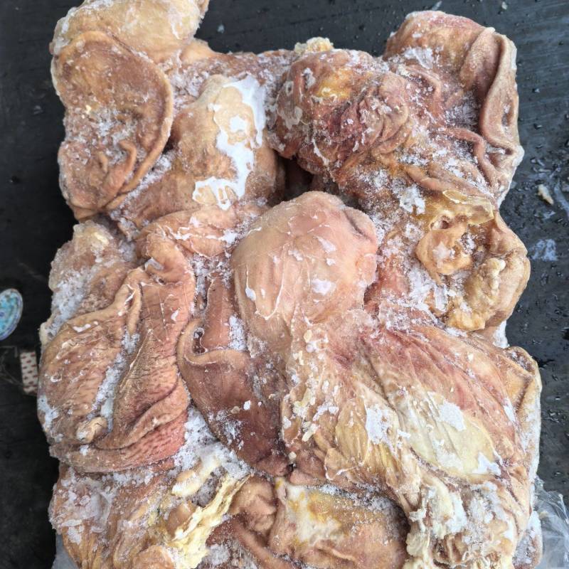 纯干大肚14一16个修油，没水厂家直销一手货源