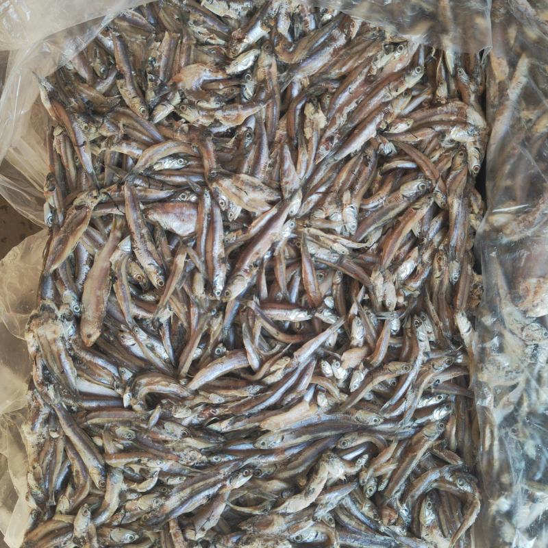 饲料鳀鱼，杂鱼，面条