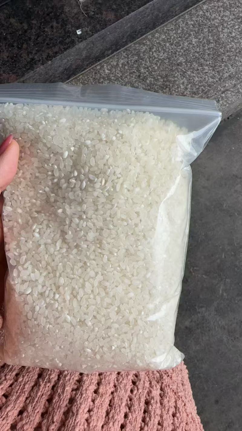 江苏自产普粳米厂直供无中间商一级粳米长期供货稳定
