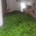 301精品青辣椒大量上市现采现货，成色好品质稳产地直发