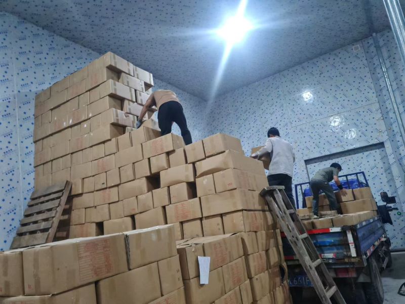 源头工厂批发广西博白精品桂圆肉无硫自然烘干无核龙眼肉多品种