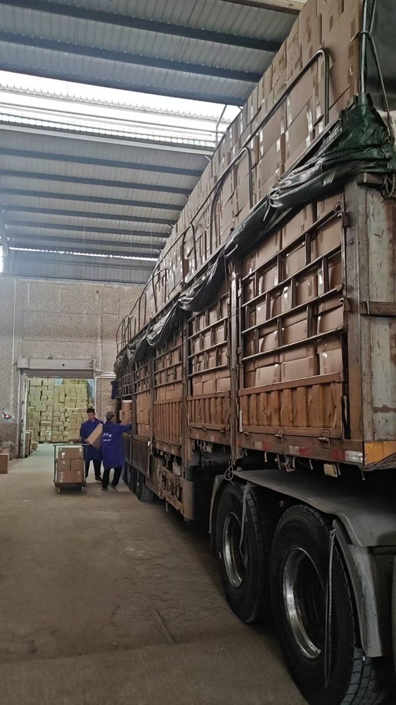 源头工厂批发广西博白精品桂圆肉无硫自然烘干无核龙眼肉多品种