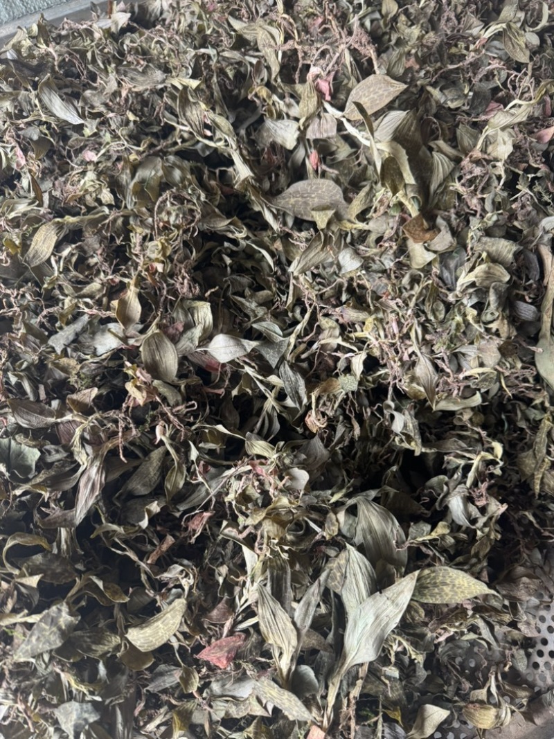 斑叶兰小叶青干品深山深长水洗全干无杂质