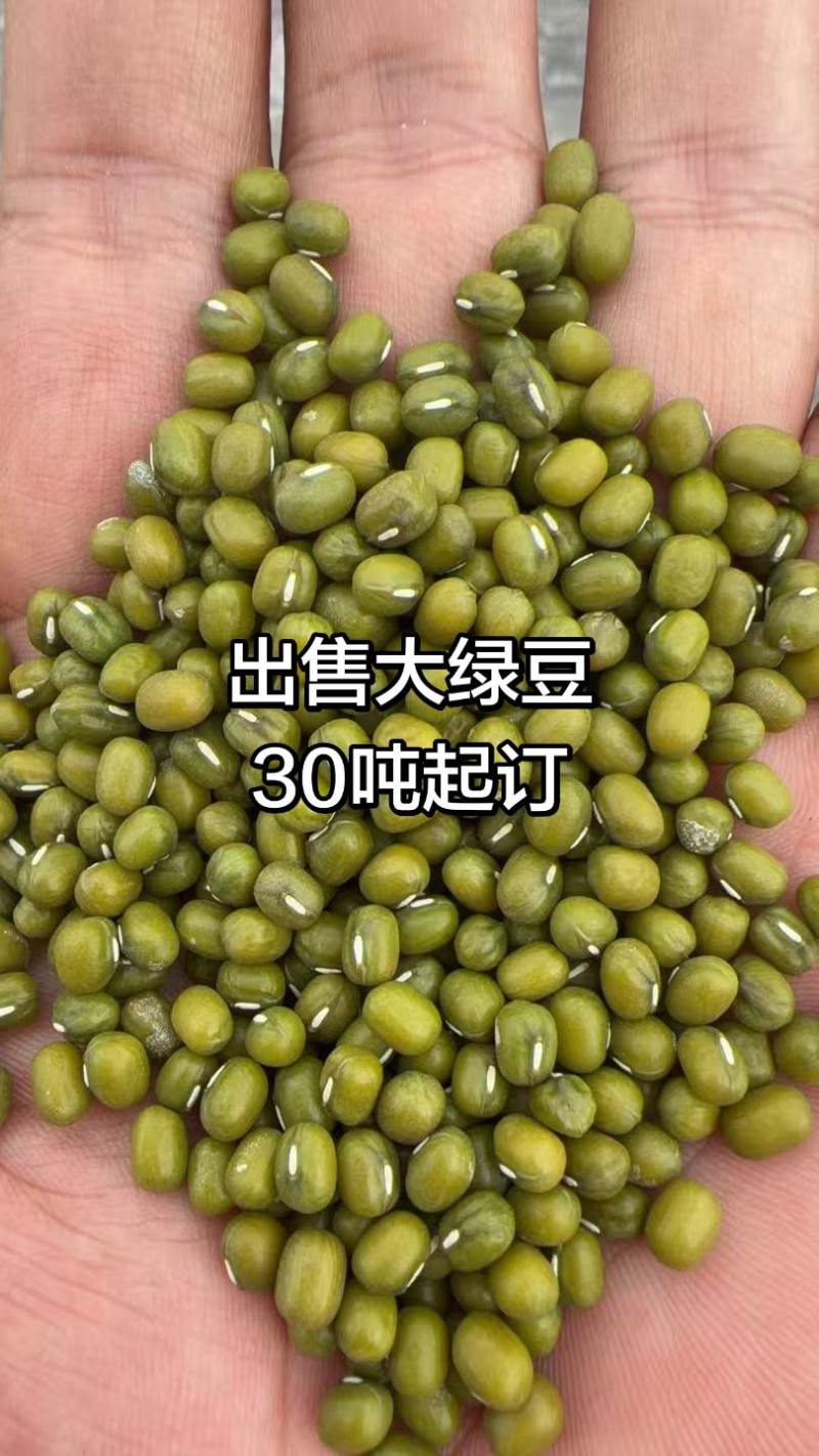 大量绿豆出售30吨起批