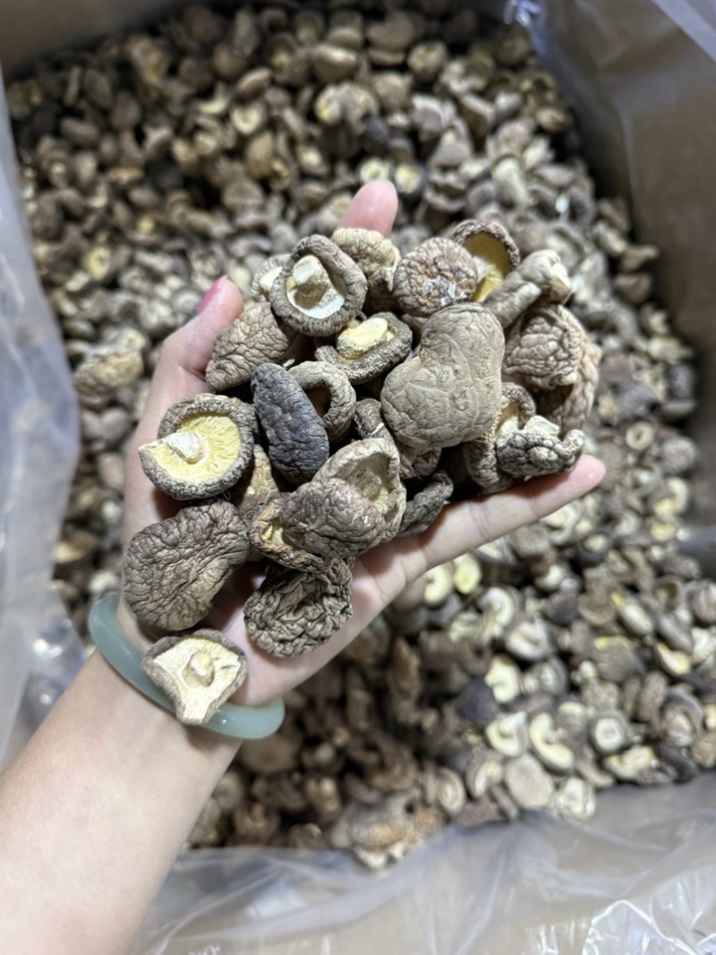 包邮2.5-3烘干香菇烘精选2026新货