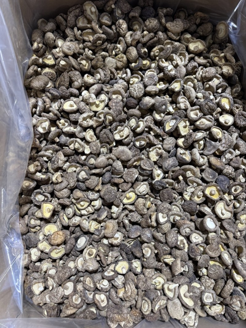 包邮2.5-3烘干香菇烘精选2026新货