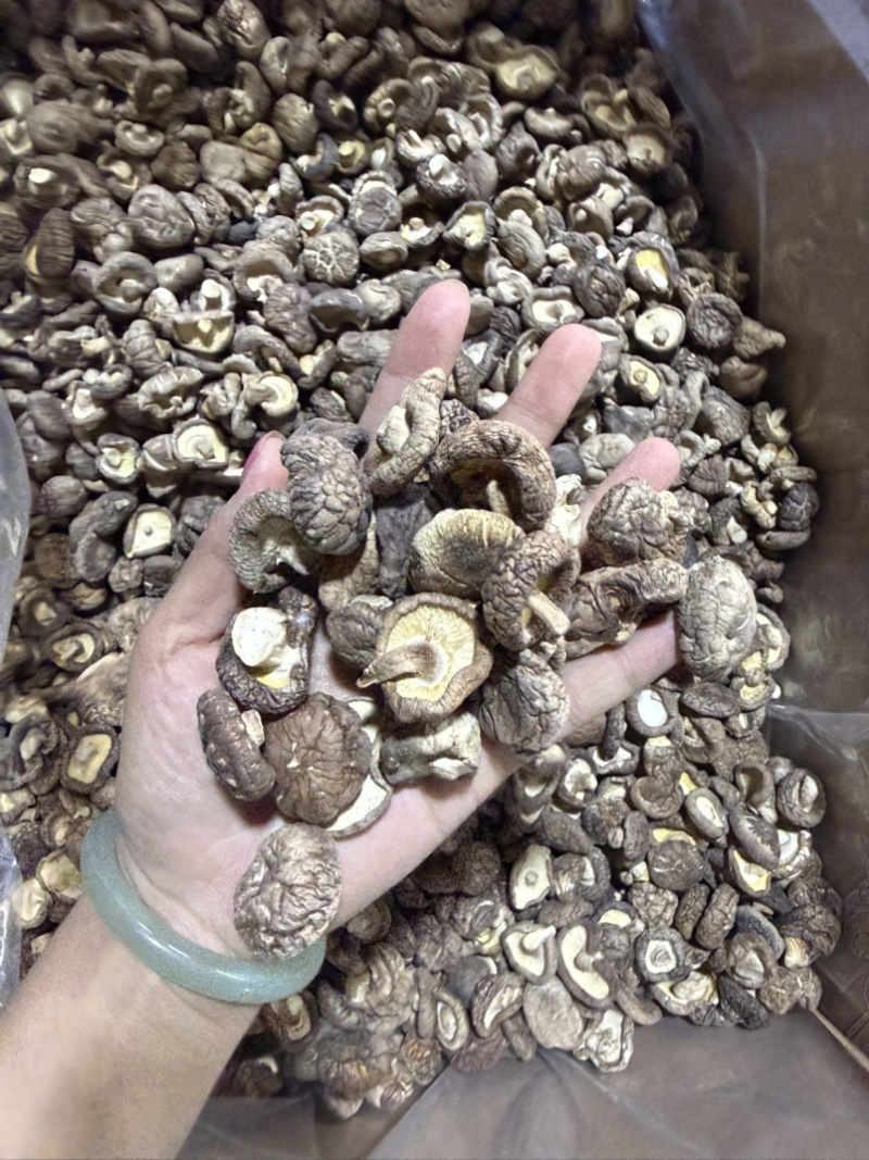 包邮2.5-3烘干香菇烘精选2026新货