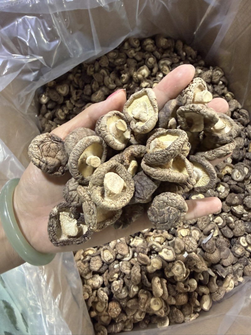 包邮2.5-3烘干香菇烘精选2026新货