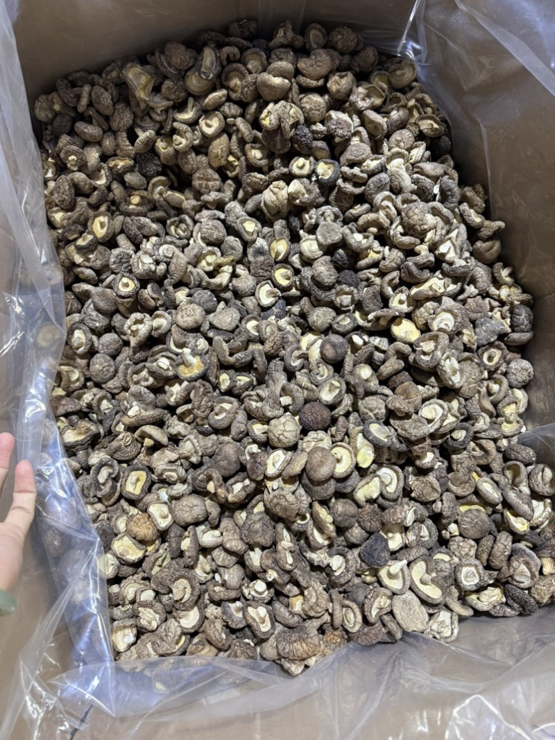包邮2.5-3烘干香菇烘精选2026新货