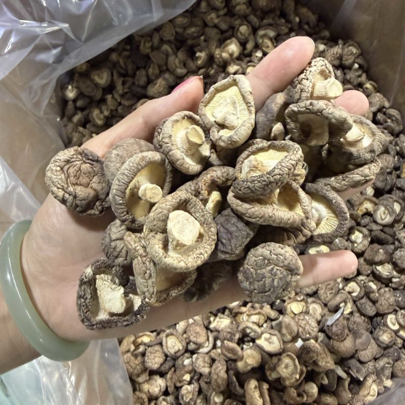 包邮2.5-3烘干香菇烘精选2026新货