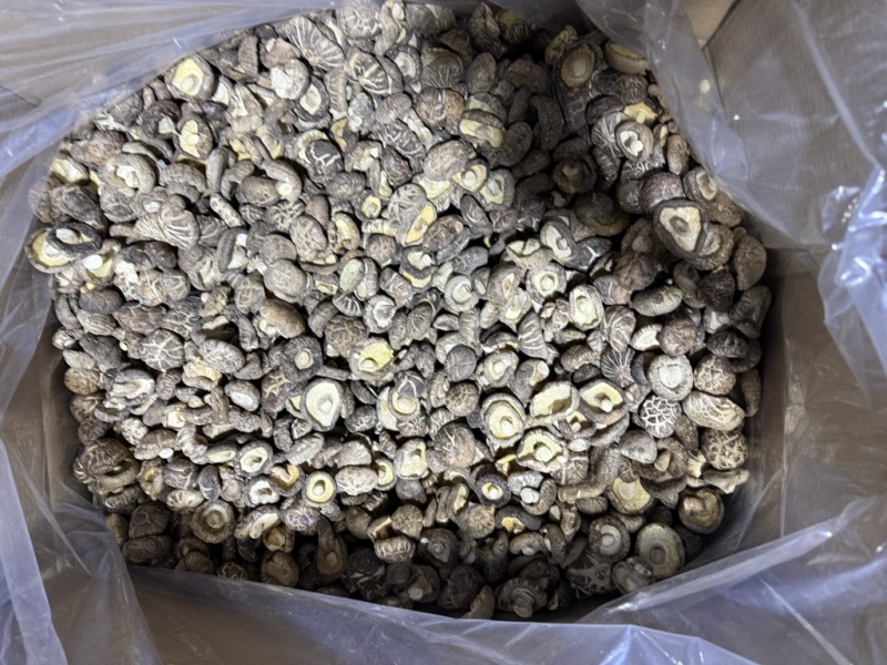 包邮新货茶花菇花菇2026新菇