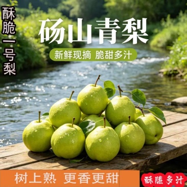 砀山酥梨承接一件代发