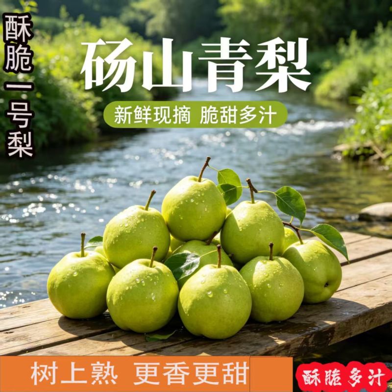 砀山酥梨承接一件代发